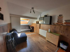 Studio lumineux, bien équipé au cœur de la station, idéal pour 2 adultes et 1 enfant. - FR-1-592-60